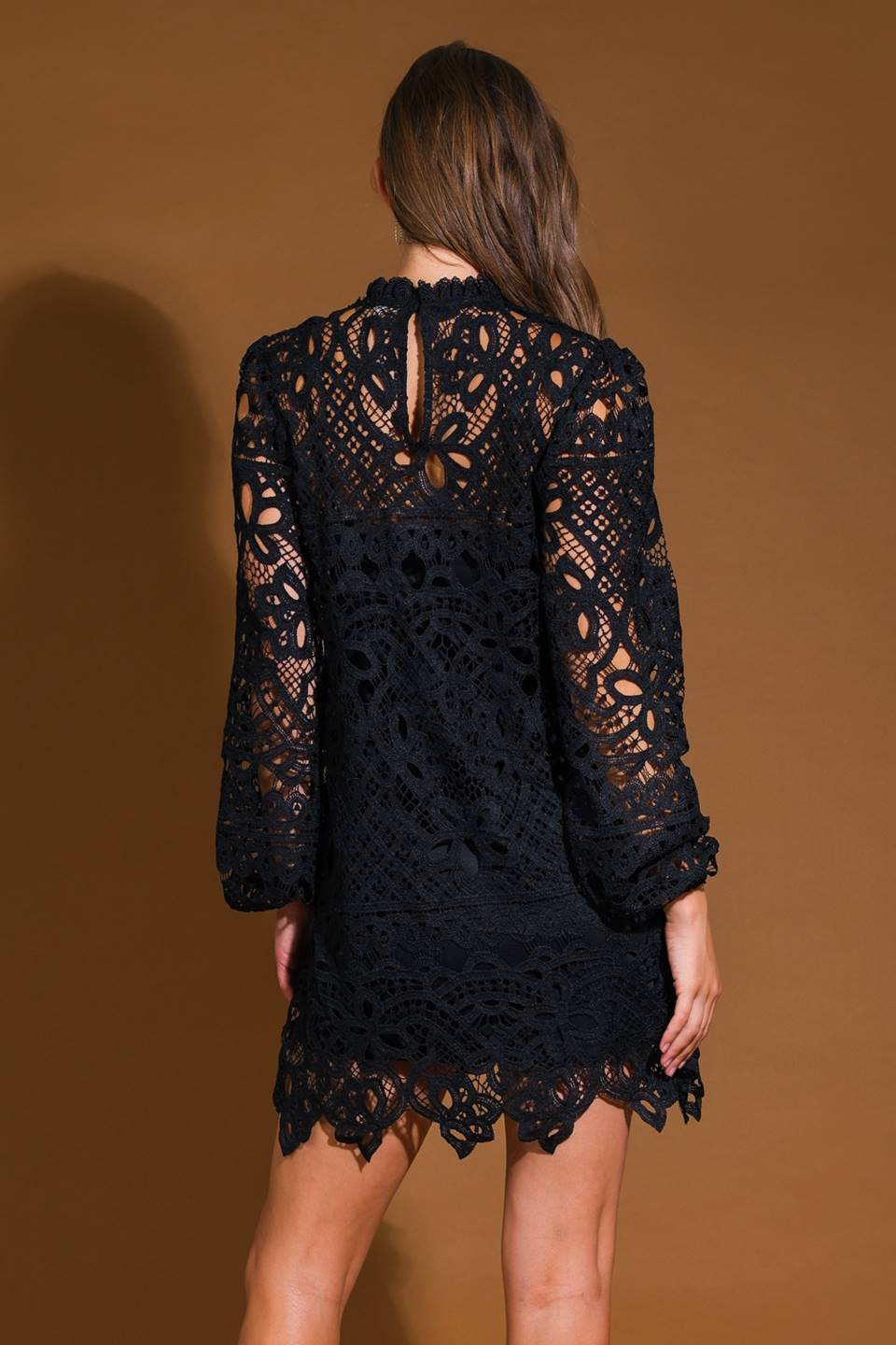 November December Wedding Guest Formal Dress Woven Lace Mini Dress Featuring High Neckline Long Sleeve Back Neck Button Closure Prom Dress