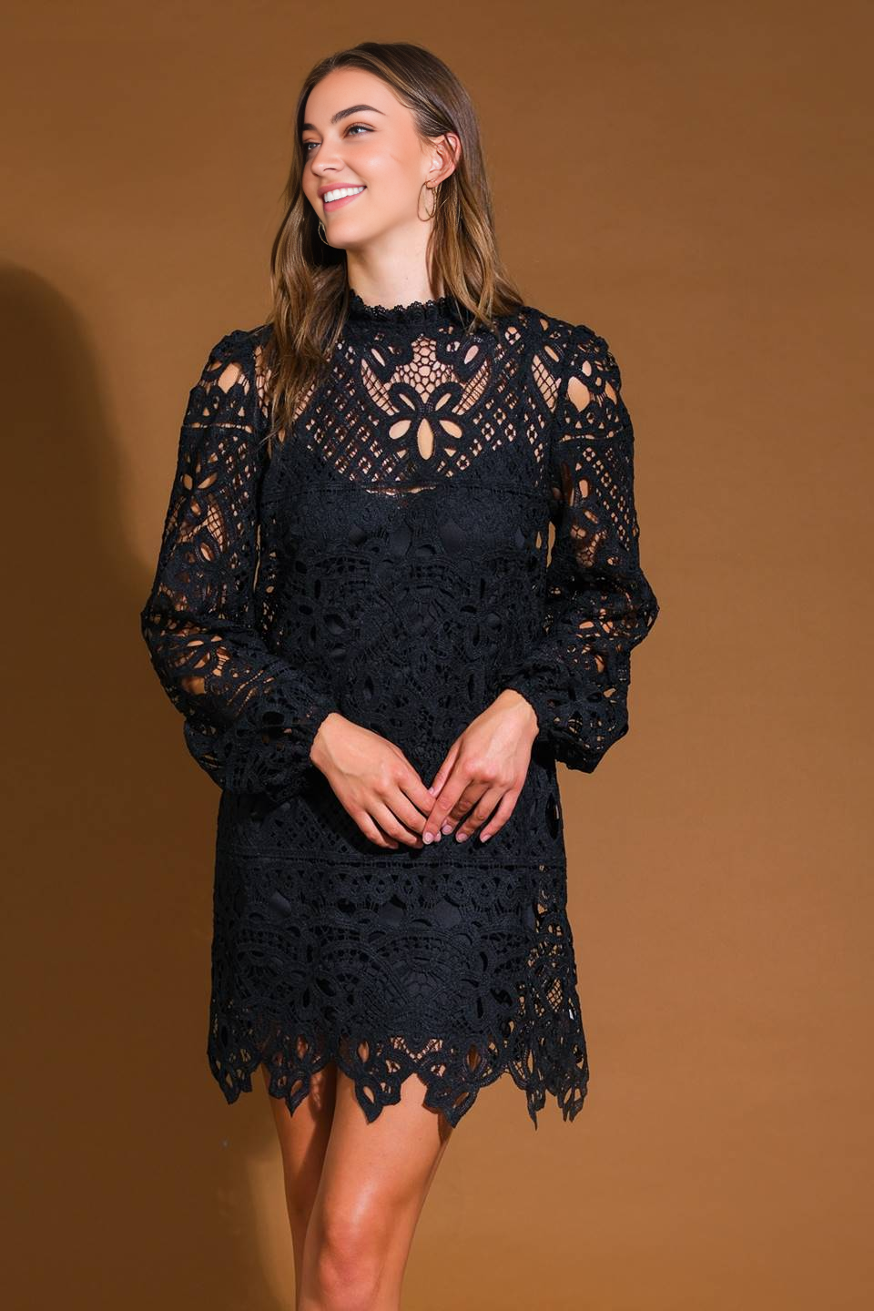 November December Wedding Guest Formal Dress Woven Lace Mini Dress Featuring High Neckline Long Sleeve Back Neck Button Closure Prom Dress