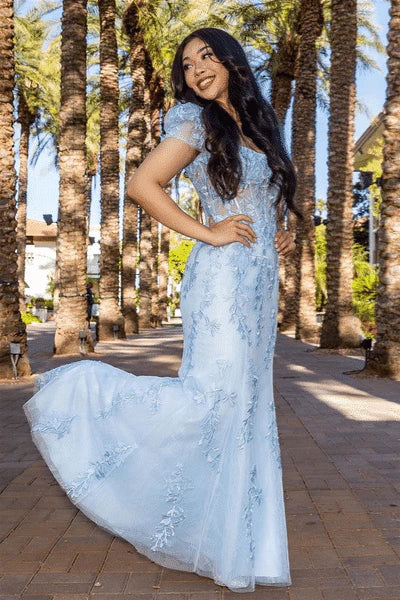 Sweep/Brush Train Dresses Square Neck Puff Sleeves Appliques Tulle Long Prom Dress