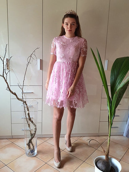 A-Line/Princess Short Sleeves Organza Sheer Neck Applique Short/Mini Homecoming Dresses